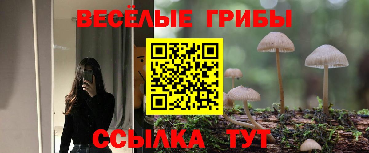 Бутурлиновка  Псилоцибиновые грибы ЛСД  Вход с VPN 